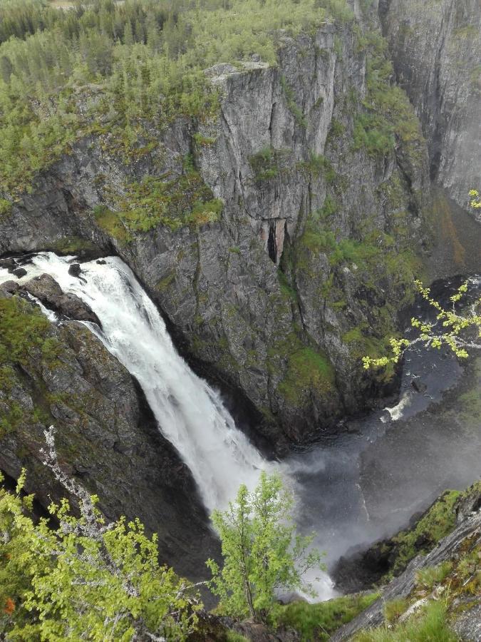 Liseth Pensjonat Og Hyttetun Eidfjord Exterior foto
